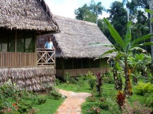 Safe Professional Ayahuasca Retreats