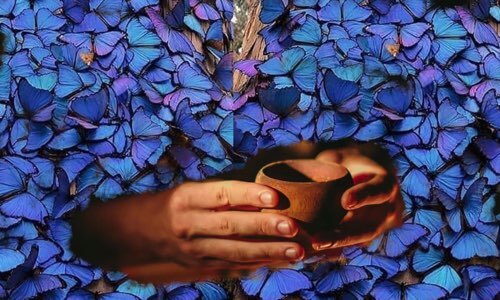 Ayahuasca Ceremonies Blue Morpho Retreats handing ayahuasca