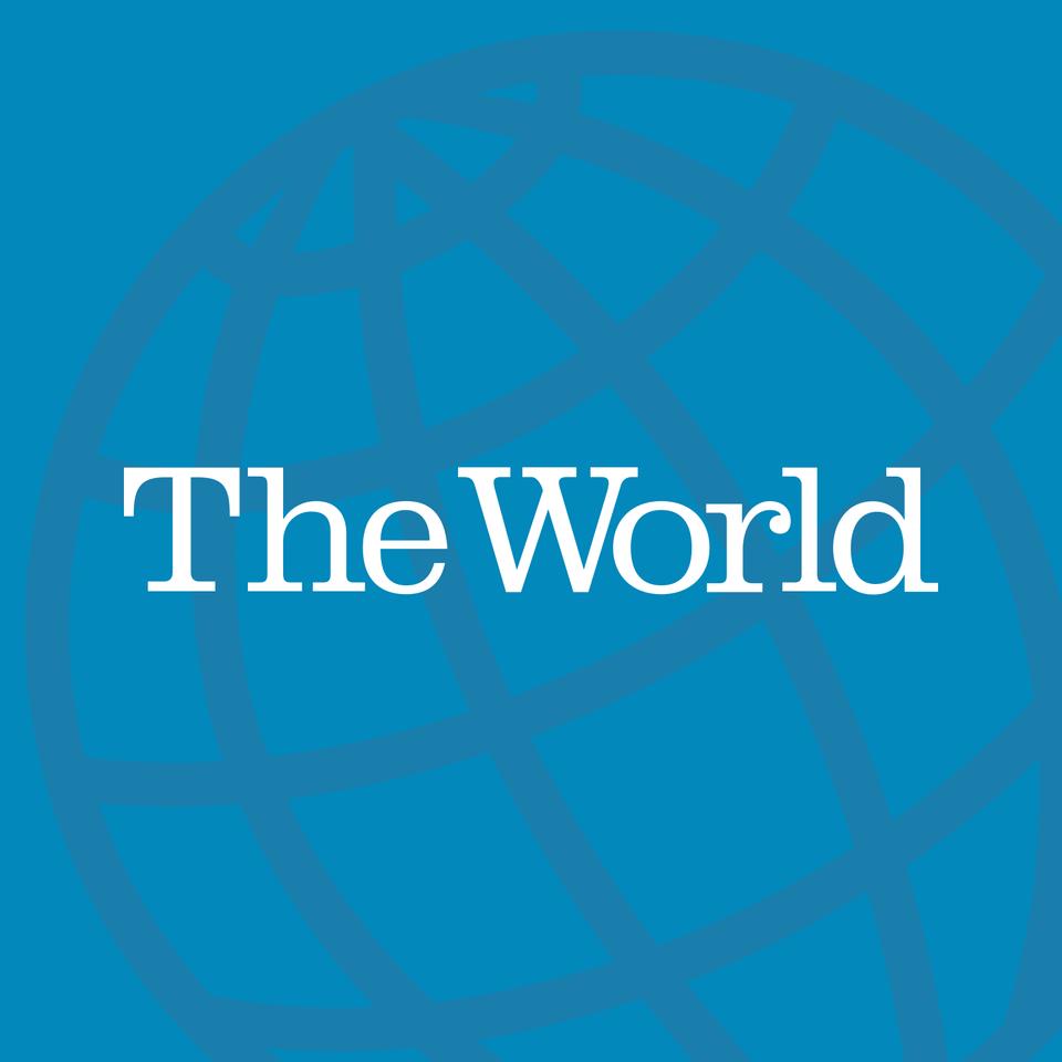 The World Logo