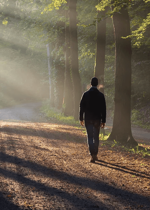 Meditative walking at Blue Morpho