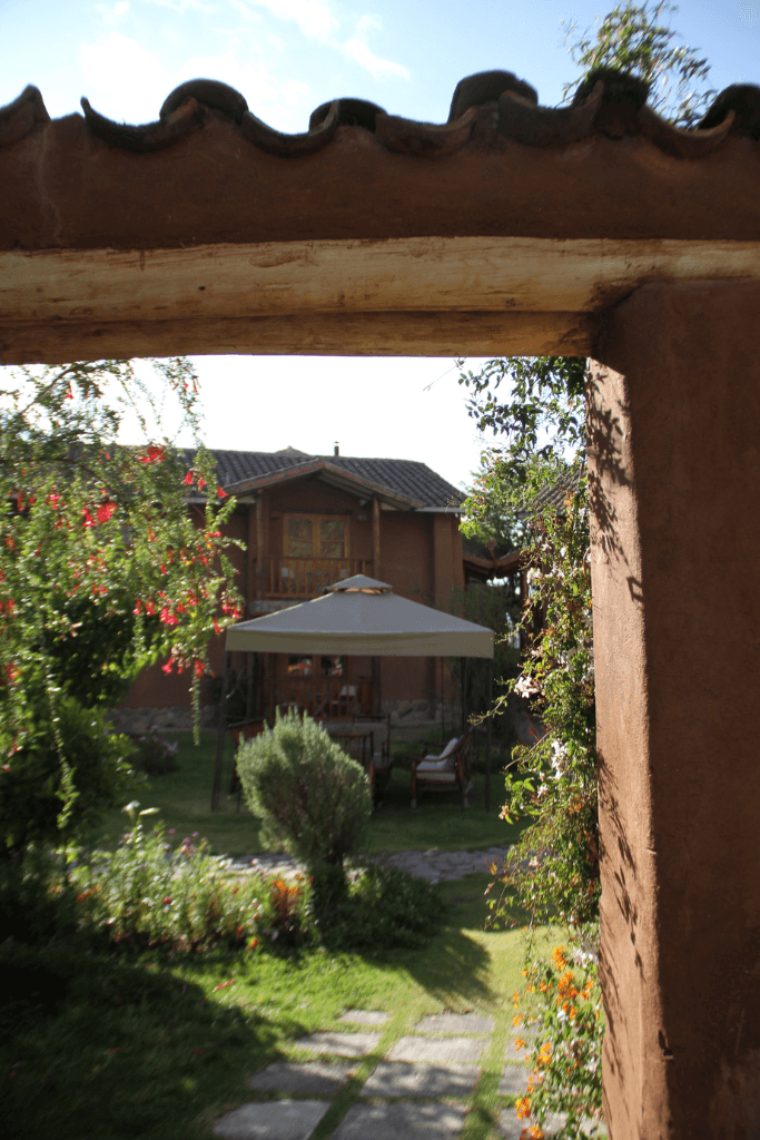 plant-medicine-healing