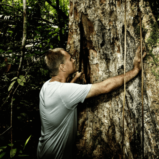 Plant-medicine-facilitator -training