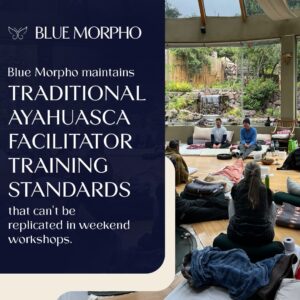 A bright, modern lodge with floor-to-ceiling glass windows overlooking a waterfall and lush garden. Inside the room, participants sit on floor mats facing two instructors.