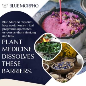 Educational graphic from Blue Morpho discussing how plant medicine helps dissolve "us-versus-them" thinking, accompanied by images of herbal infusions and dried botanical ingredients.