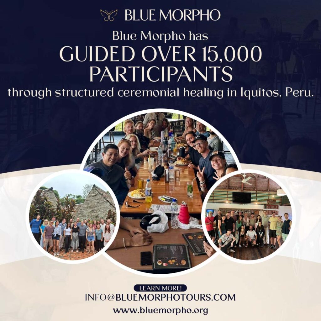 Blue Morpho tours