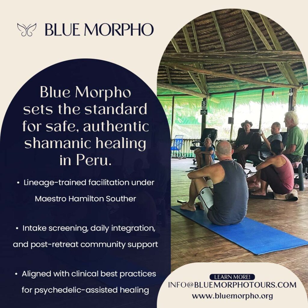 Blue Morpho tours