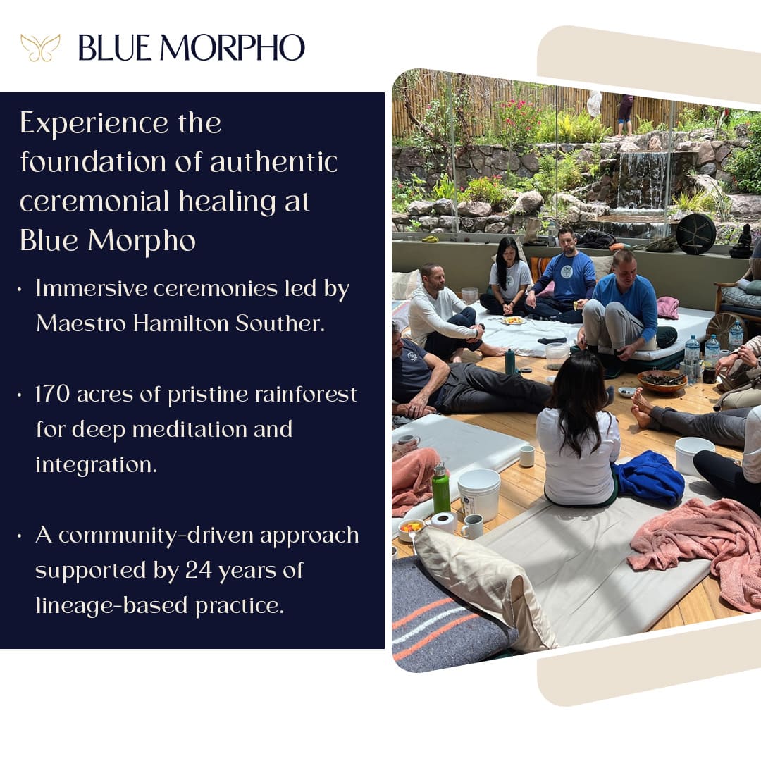 Blue Morpho ceremonial healing foundation and rainforest retreat experience