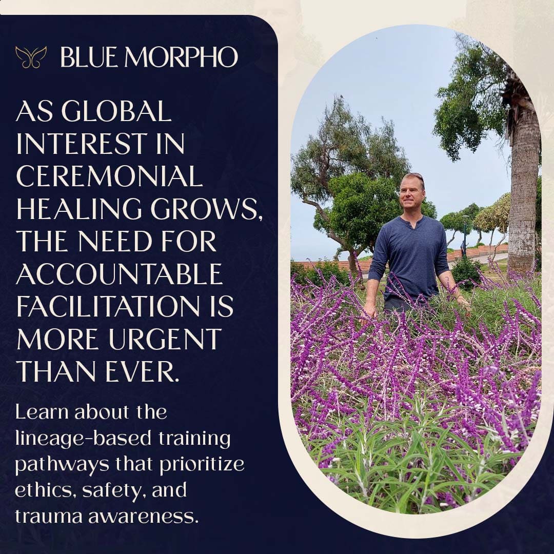A facilitator standing in a field of purple flowers, representing the need for accountable and ethical ceremonial healing.
