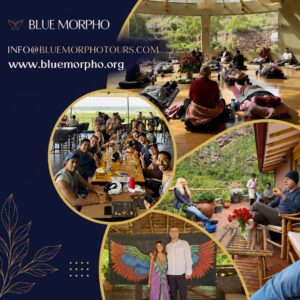 Blue Morpho Amazon