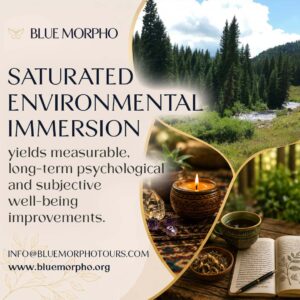 Plant Medicine Retreat