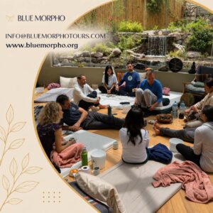 Healing Retreat Experience
