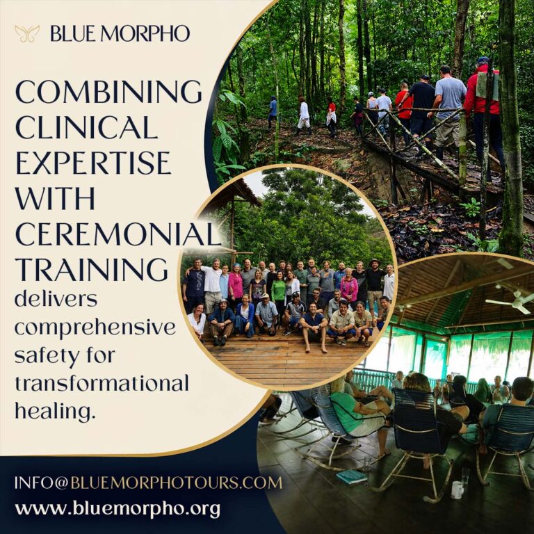Plant medicine training session