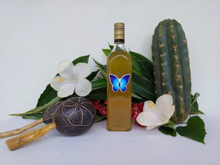 Blue Morpho ceremonial plant medicine bottle with tropical flowers and cactus display