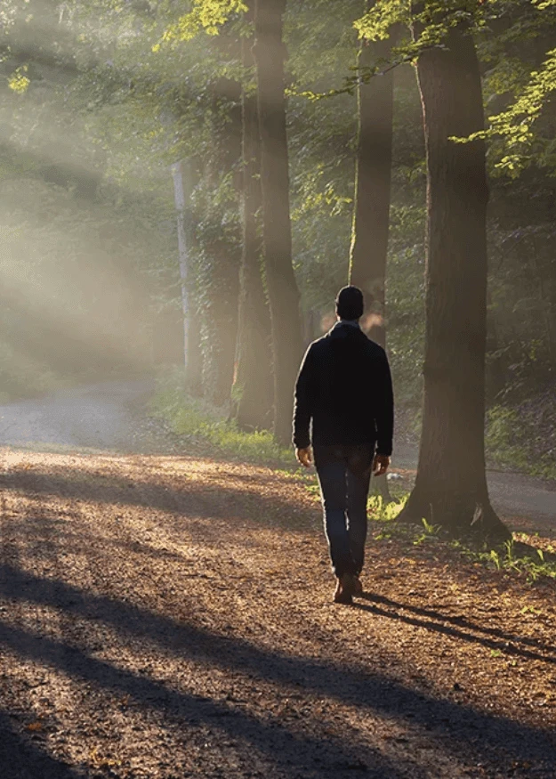 Meditative walking at Blue Morpho