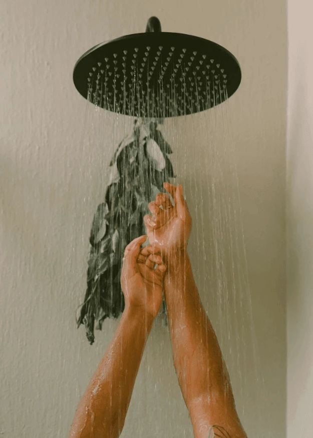 Water Cleansing at Blue Morpho