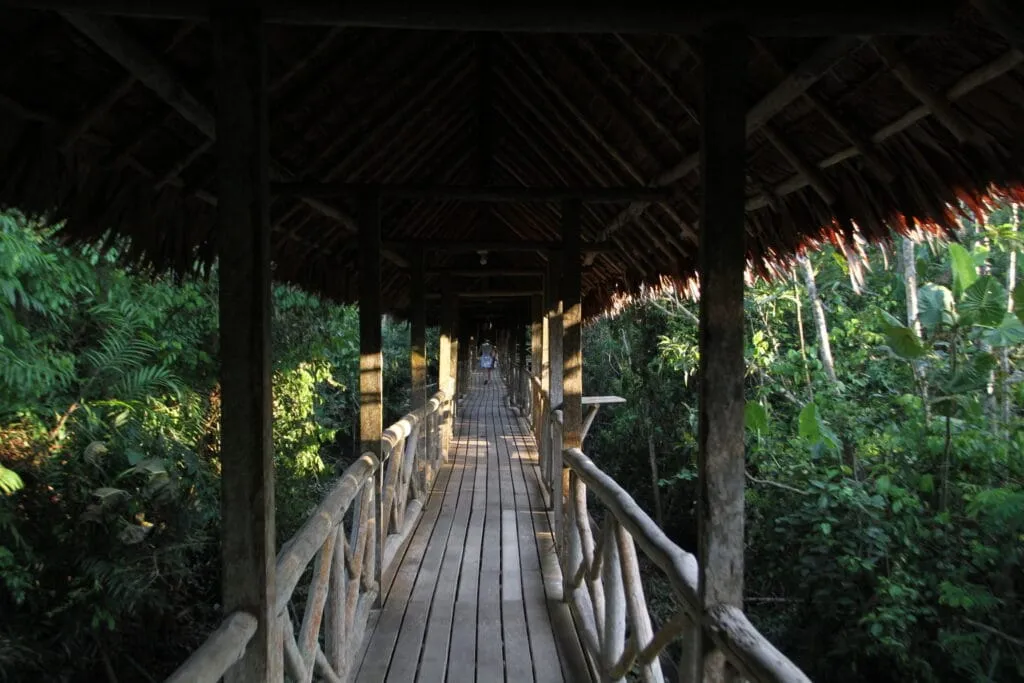 Experience at Blue Morpho Ayahuasca retreat in the Amazon, Peru