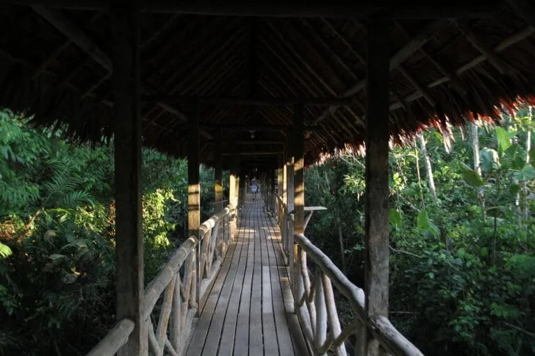 Experience at Blue Morpho Ayahuasca retreat in the Amazon, Peru