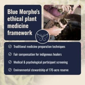 Ethical practices in plant medicine preparation