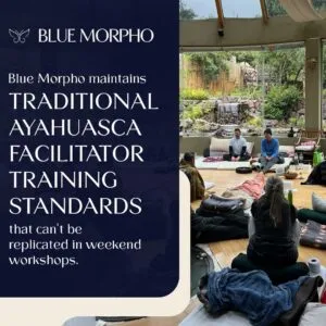 A bright, modern lodge with floor-to-ceiling glass windows overlooking a waterfall and lush garden. Inside the room, participants sit on floor mats facing two instructors.