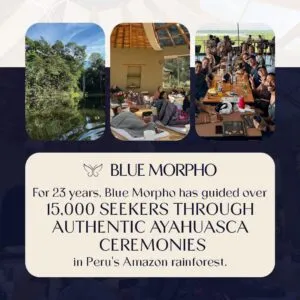 Promotional graphic for Blue Morpho featuring three photos of the Amazon rainforest and retreat participants
