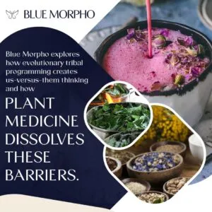 Educational graphic from Blue Morpho discussing how plant medicine helps dissolve "us-versus-them" thinking, accompanied by images of herbal infusions and dried botanical ingredients.