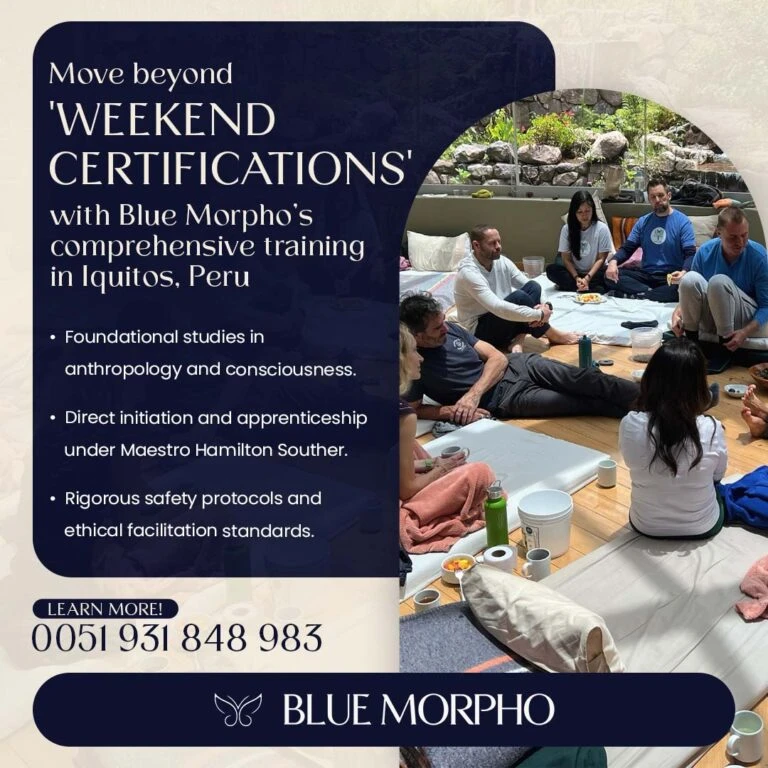 plant medicine facilitator training.