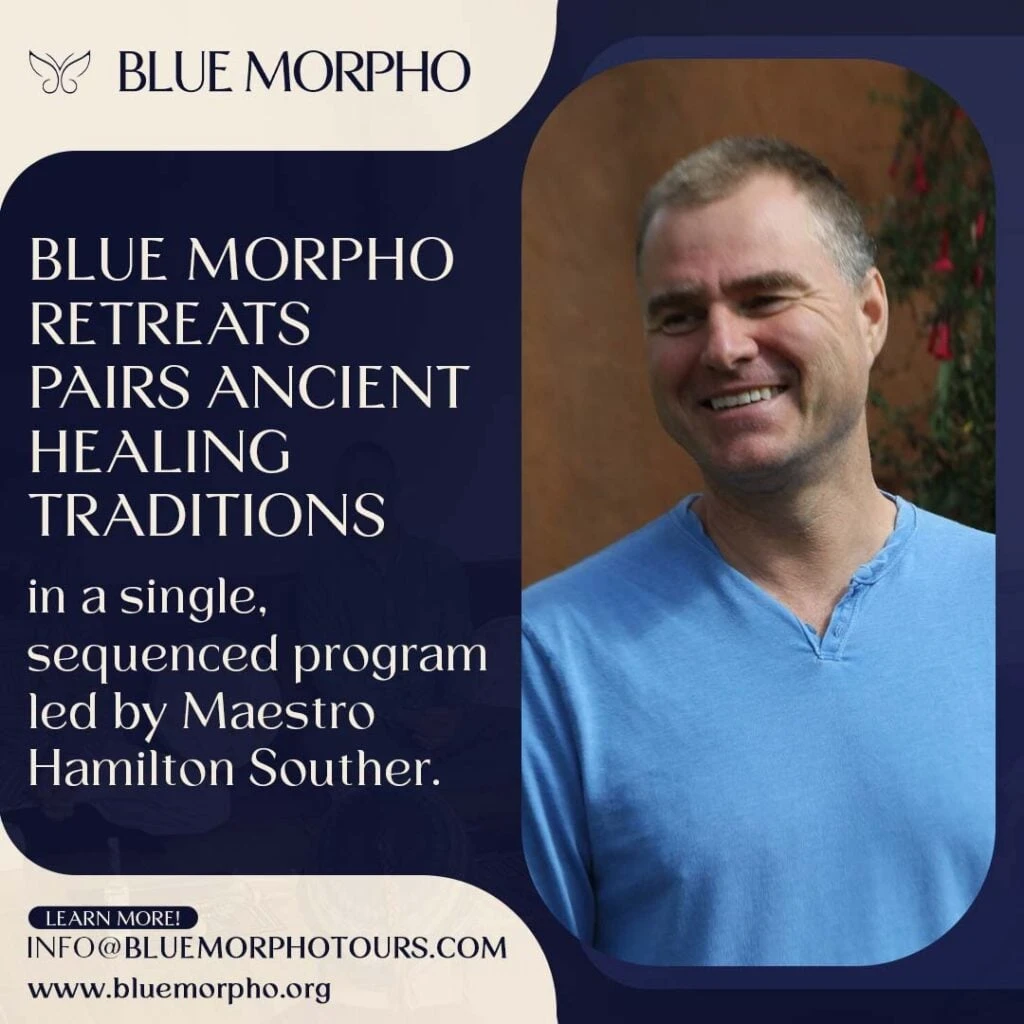 Ayahuasca facilitator training