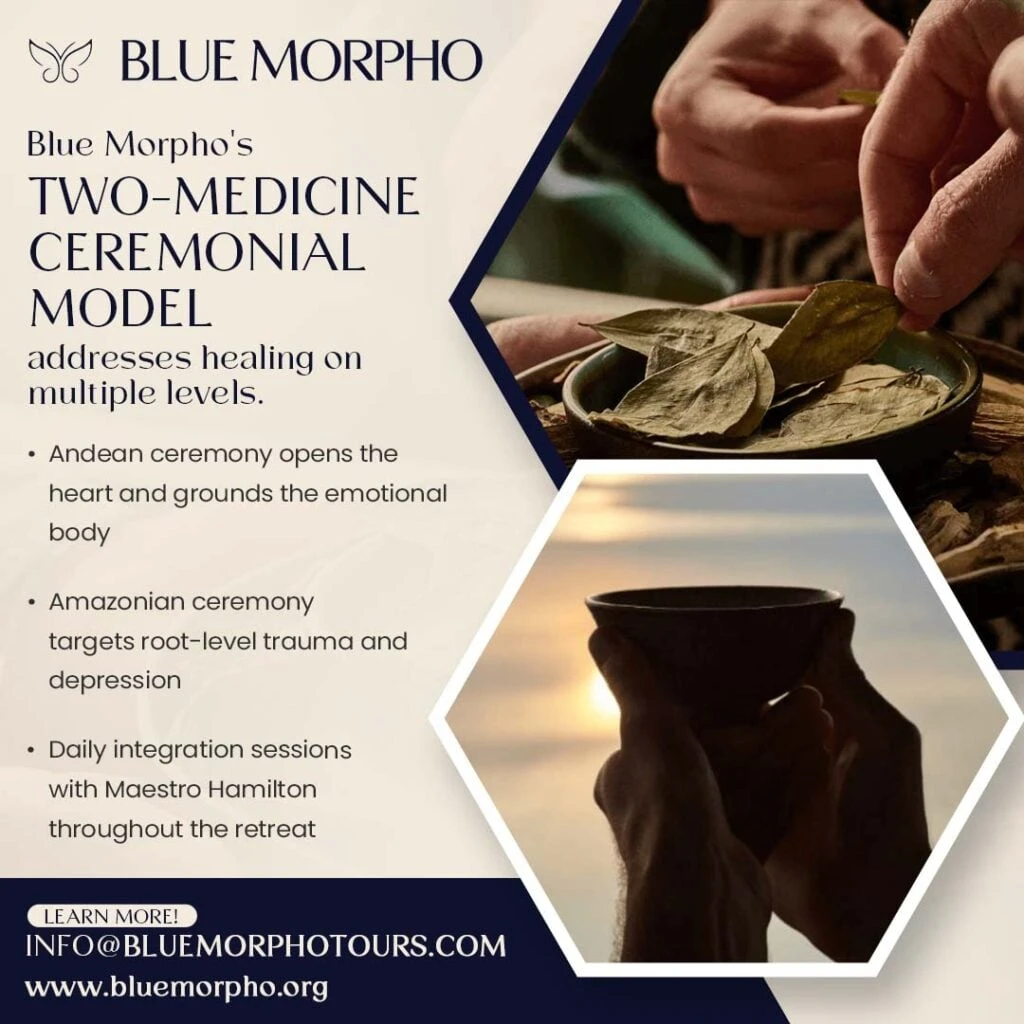 Ayahuasca facilitator training