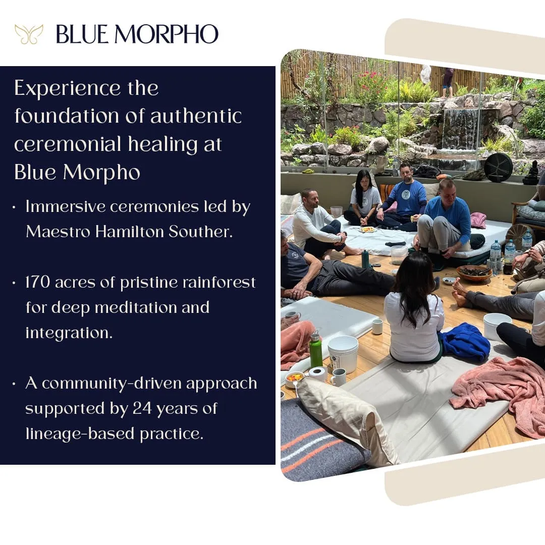 Blue Morpho ceremonial healing foundation and rainforest retreat experience