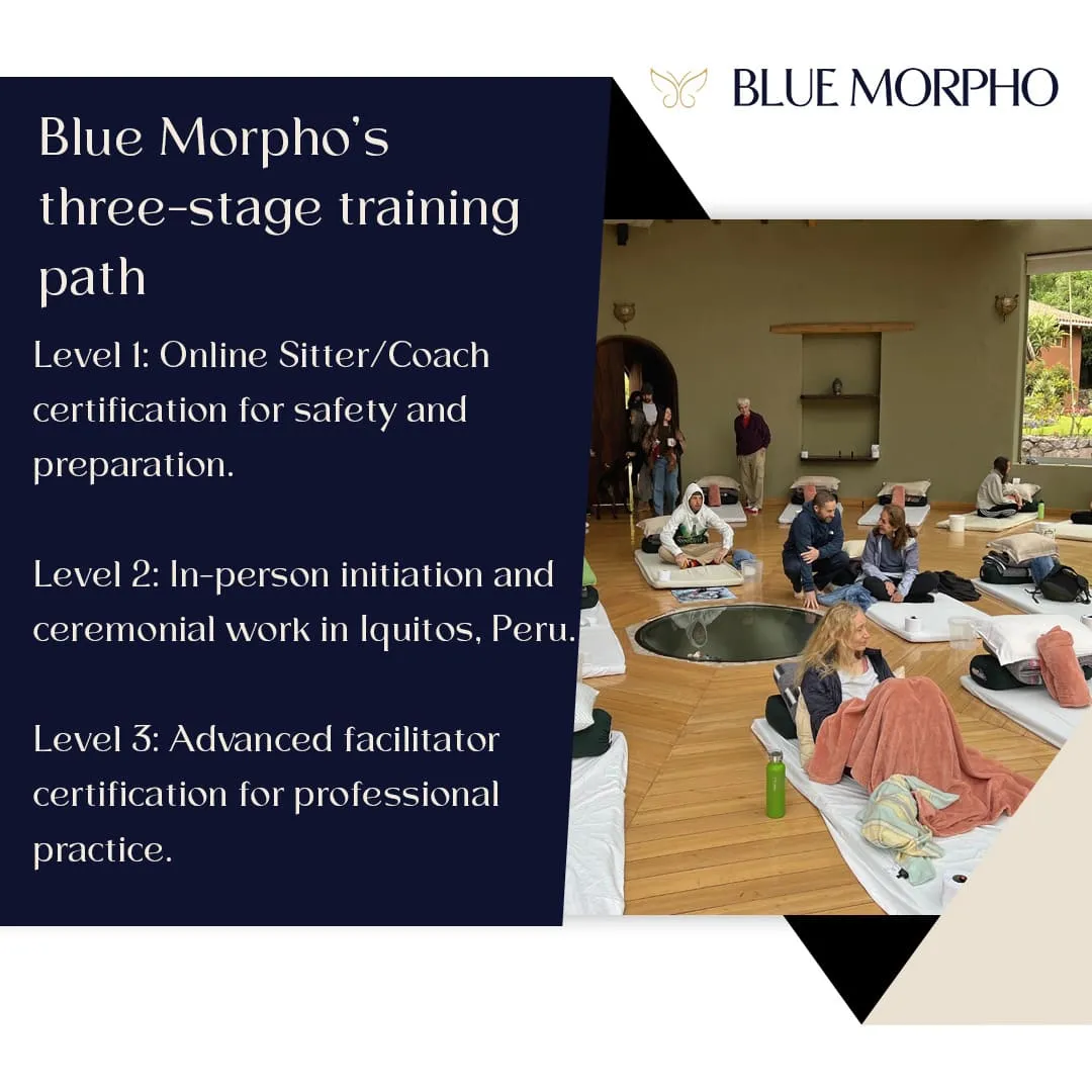 Blue Morpho three-stage facilitator training path for ceremonial healing and coaching