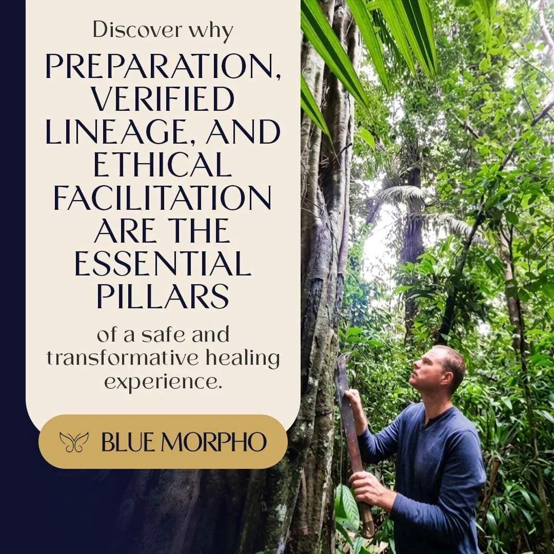 A person in a lush forest environment, illustrating the pillars of safe and transformative healing: preparation, lineage, and ethics.