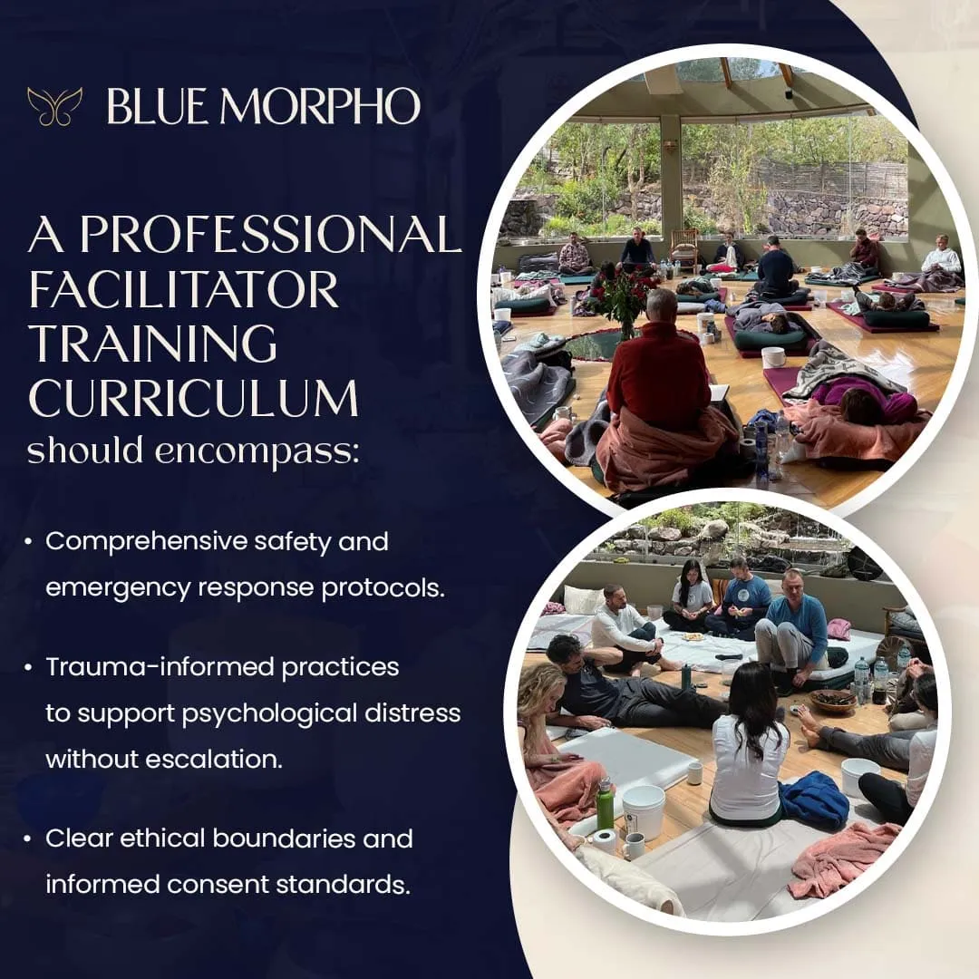 Professional facilitator training curriculum covering safety protocols, trauma-informed practices, and ethical boundaries.