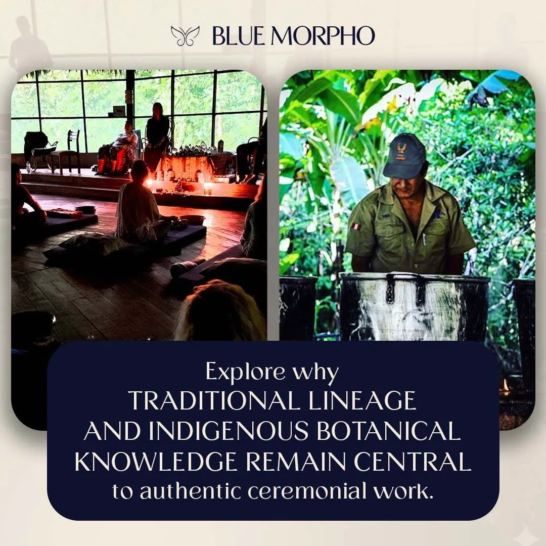 Images of a traditional ceremony in progress and an indigenous practitioner, highlighting the importance of botanical knowledge.