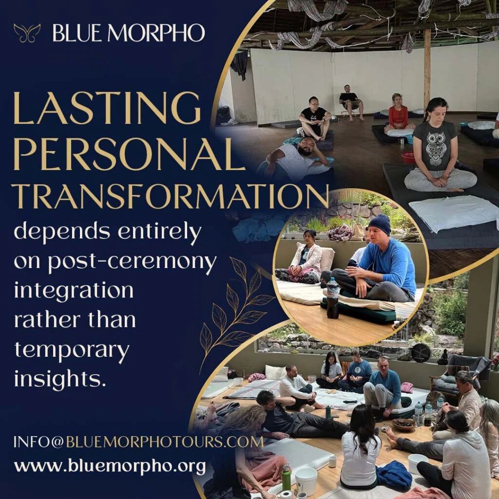 Plant medicine retreat integration