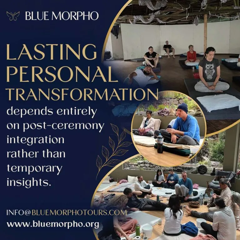 Plant medicine retreat integration
