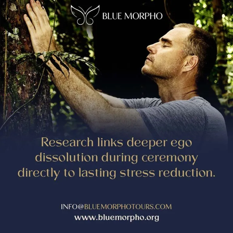 Man with eyes closed touching a rainforest tree in quiet reflection, representing ego dissolution in ceremony