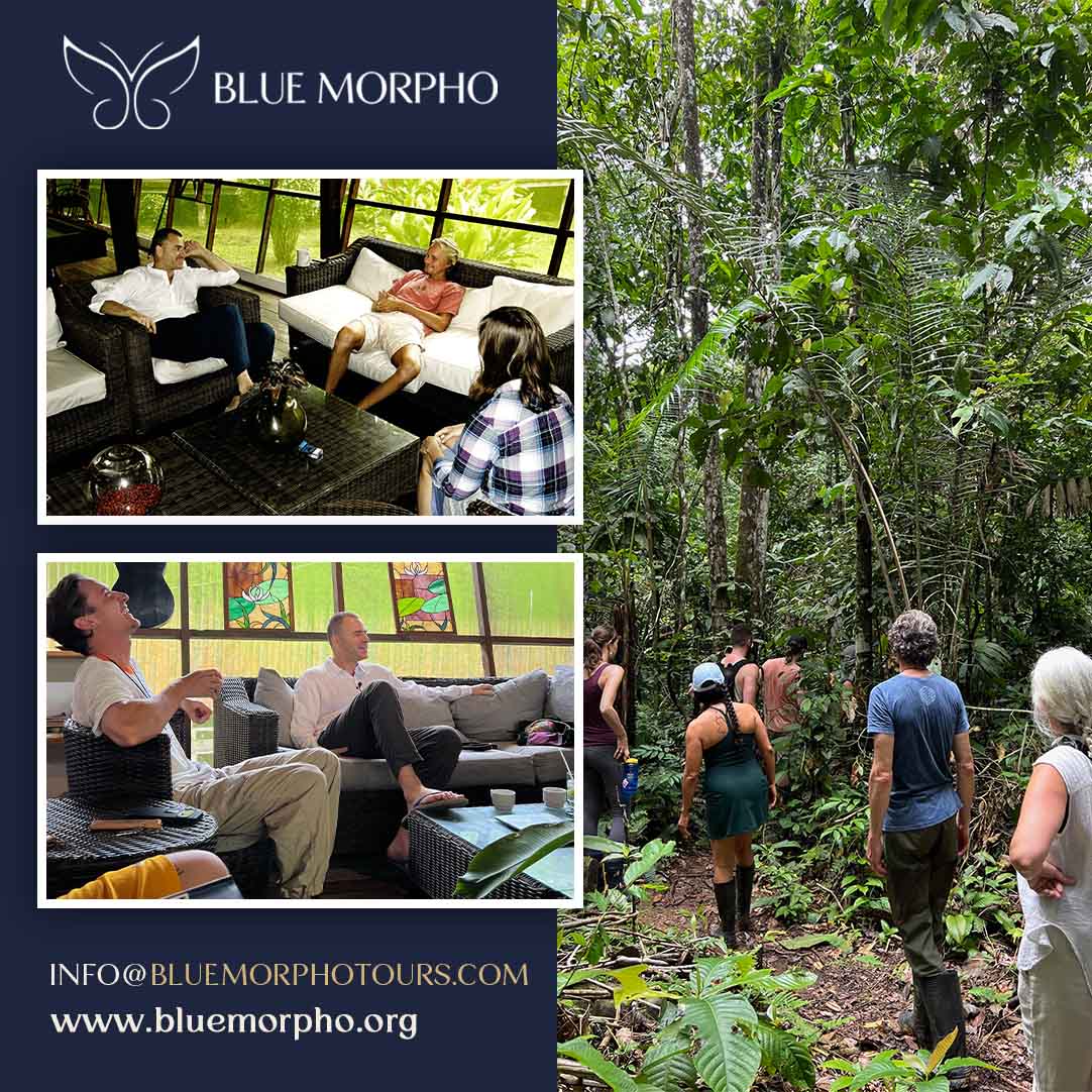 Retreat guests relaxing in a jungle lounge and hiking a rainforest trail in rubber boots during a plant medicine retreat