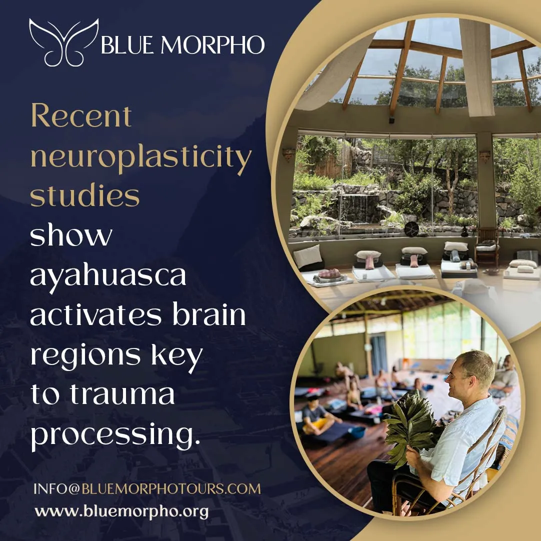 Ayahuasca retreat ceremony space with participants on mats and a facilitator holding a leaf bundle