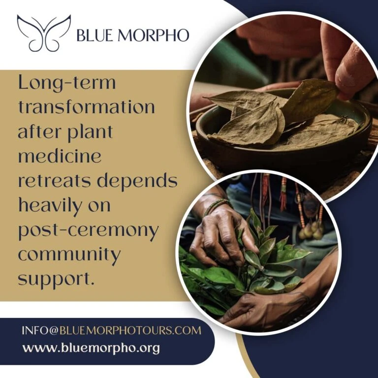Hands sorting dried leaves in a wooden bowl and gathering fresh green leaves for a plant medicine ceremony
